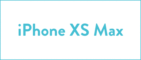 iPhone XS Max Phone Case